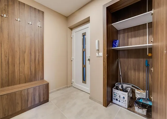 Forest Foeldvar By Bltn *